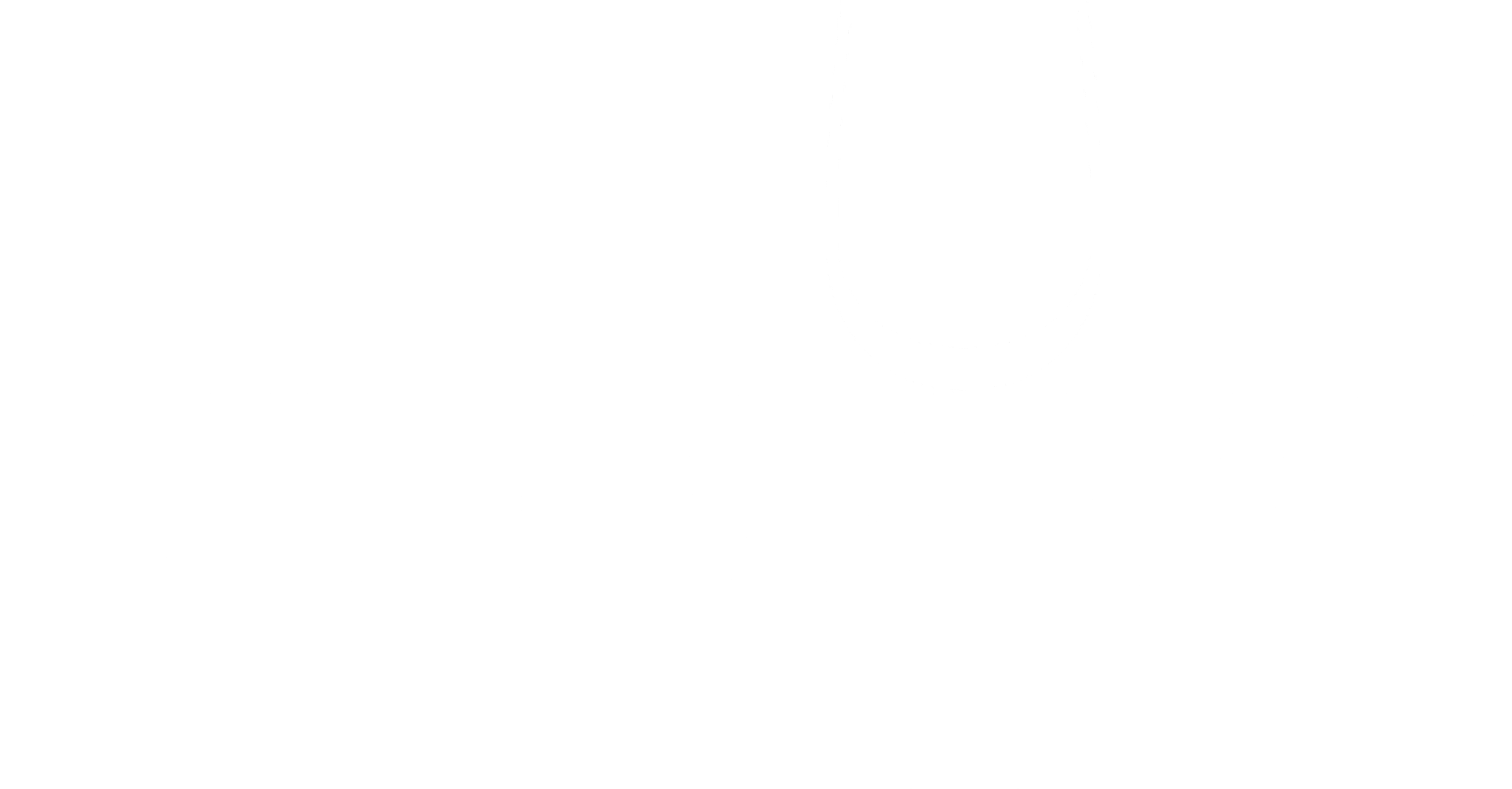 Logo Vinissimo